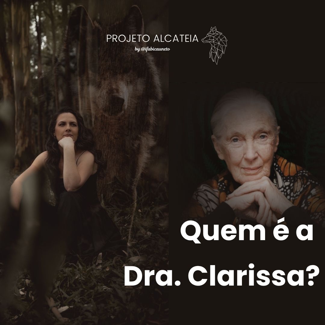Dra. Clarisa Estés, mulheres que correm com os lobos, Fabi Cauneto, projeto alcateia